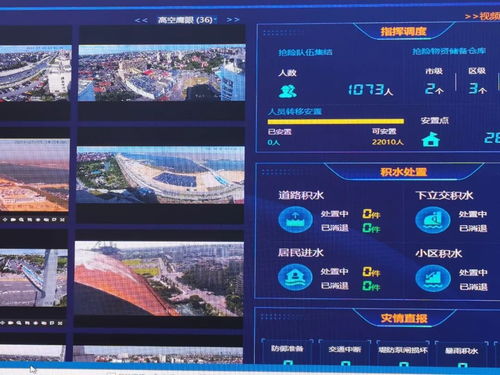 加快推进公共视频监控系统“一网统管”｜《哈尔滨市公共视频监控系统建设实施方案（2024—2026）》印发