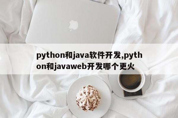python和java软件开发,python和javaweb开发哪个更火