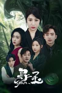 寻玉（77集） 高清完整版