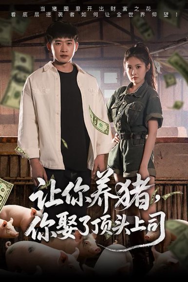 让你养猪，你娶了顶头上司&让你养猪你娶了顶头上司（70集）邓威＆陈酉昔 高清完整版