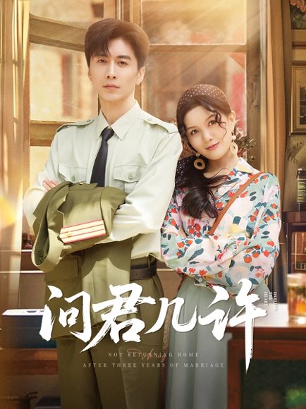 问君几许（91集）刘承林 高清完整版