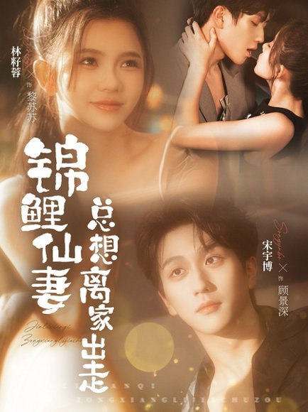 锦鲤仙妻总想离家出走（64集）宋宇博＆林籽蓉 高清完整版