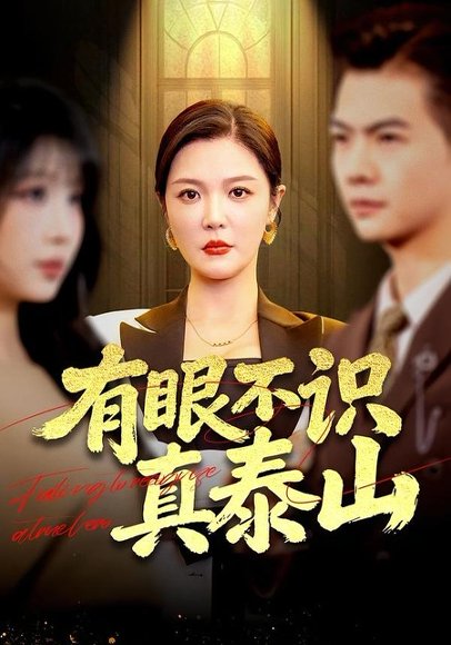 有眼不识真泰山（75集）李明&周霖 高清完整版